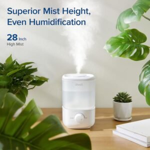 humidifier bedroom