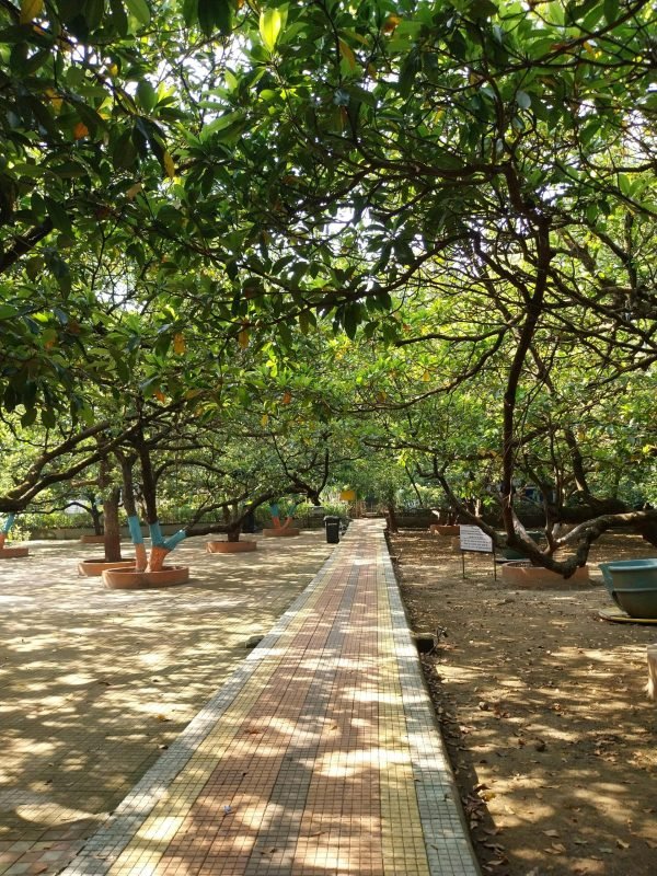 pexels-loveena-lopes-2153867826-34737165